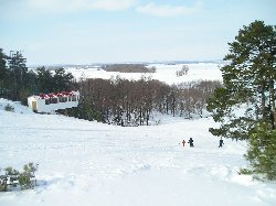 ���������� �����. [���������]