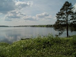 Бородавское озеро у Ферапонтова монастыря. [Увеличить]