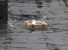 ����� �� ������. [���������]