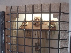 ����� ����� � ������� �������� [���������]