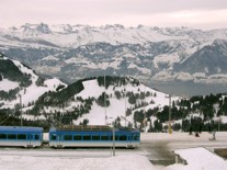 ��������������� ������� �����