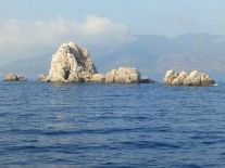 � �������� ����