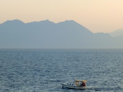 ������ ���� �������